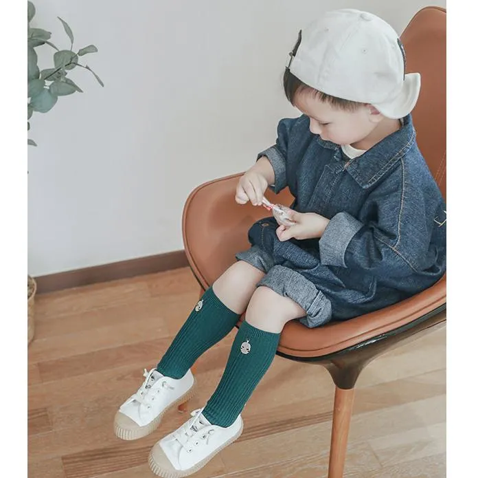 Aesop Bold Color Knee Socks
