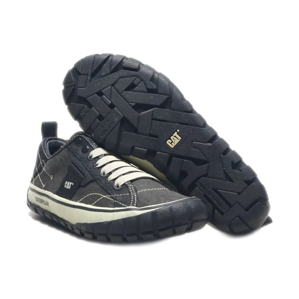 Caterpillar Neder Canvas Low-Top Sneakers Canvas Black Colour For Women