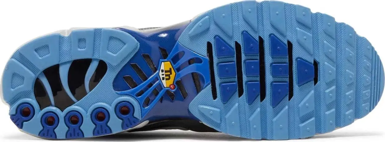 Nike Air Max Plus 'Black Royal Blue' (2021)