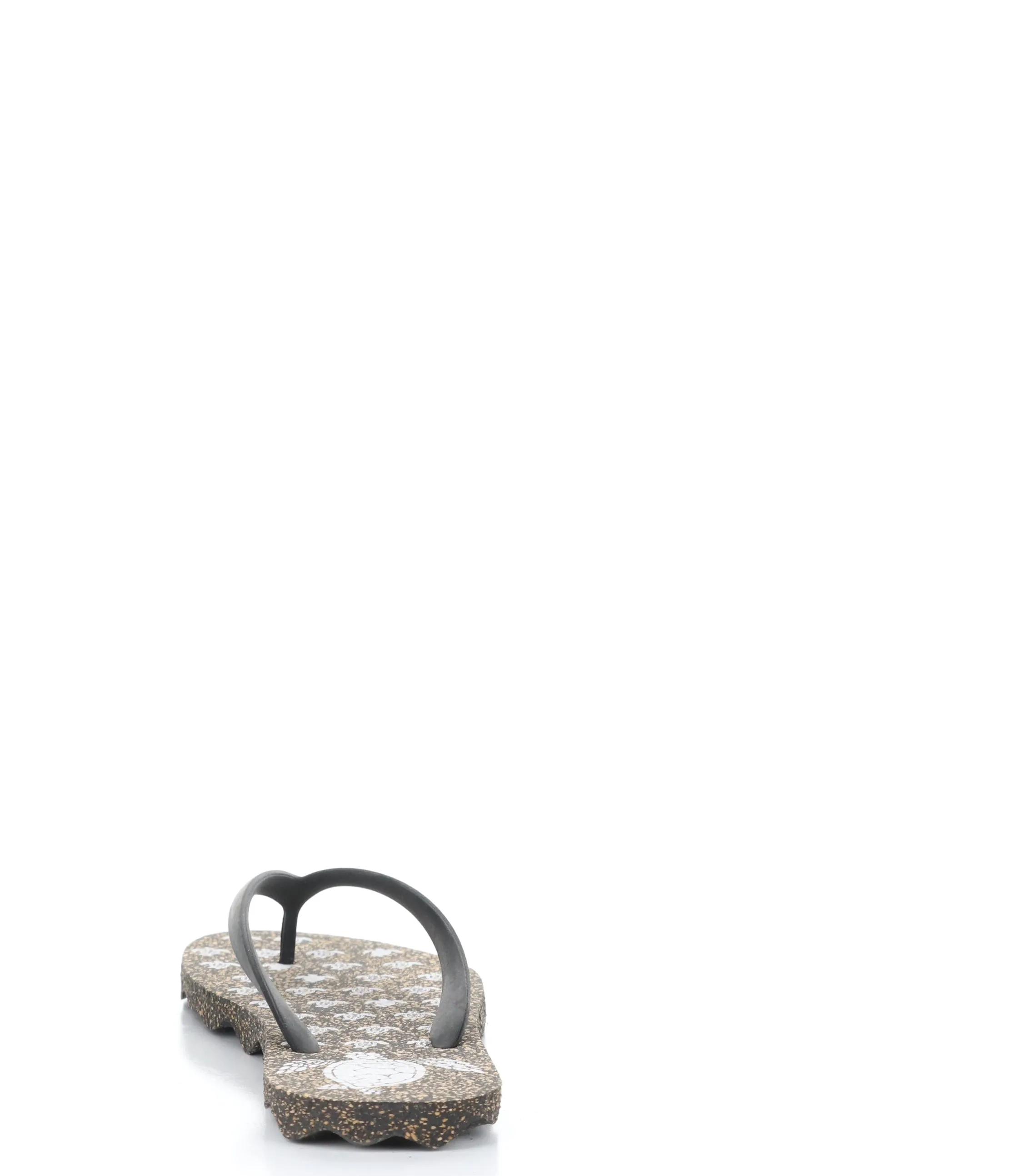 TURTLE112ASP BLACK Round Toe Shoes